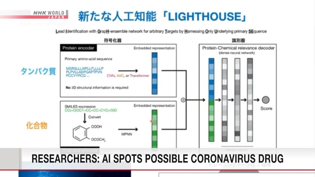 Японские исследователи намерены найти средство от коронавируса с помощью искусственного интеллекта