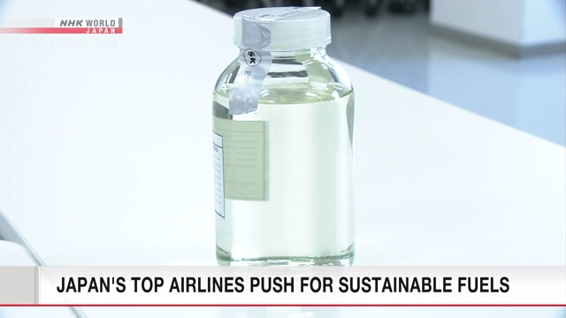 Крупнейшие авиакомпании Японии намерены способствовать массовому производству экологически рационального авиатоплива