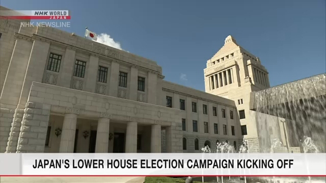В Японии стартовала избирательная кампания на выборах в нижнюю палату парламента