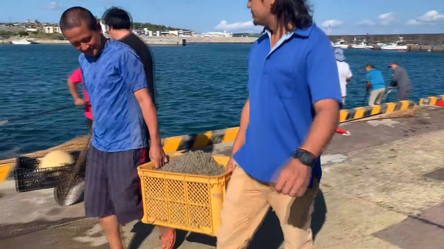 Дрейфующая пемза в море нарушает работу рыбаков и морские перевозки в префектуре Окинава
