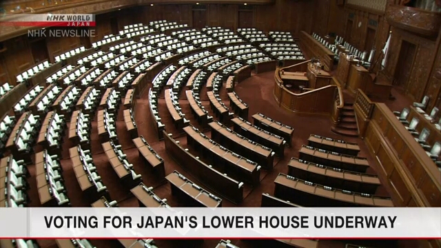 В Японии проходят выборы в нижнюю палату парламента