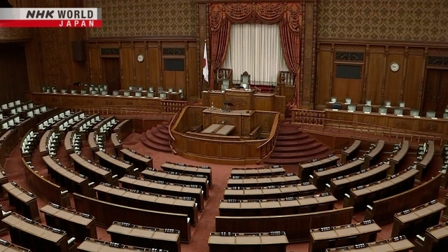 Верхняя палата парламента Японии утвердила закон для поддержки людям с деменцией