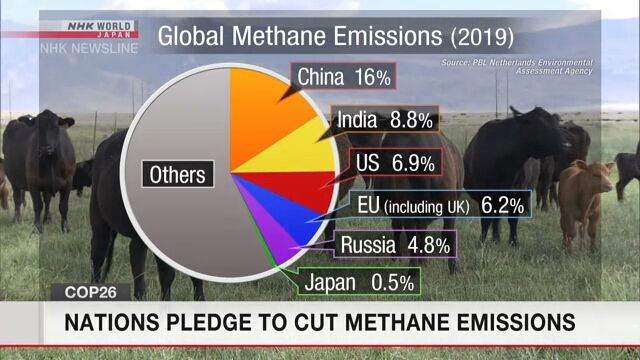 Более 90 стран присоединились к глобальной инициативе по сокращению выбросов метана