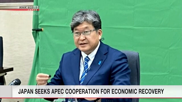 Япония стремится заручиться содействием членов форума АТЭС для экономического восстановления