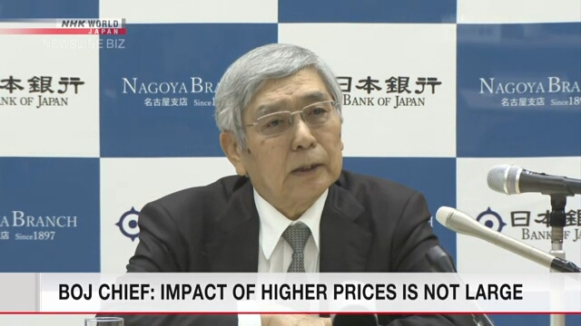 Глава Банка Японии считает, что рост цен на сырье не оказывает значительного влияния на экономику Японии