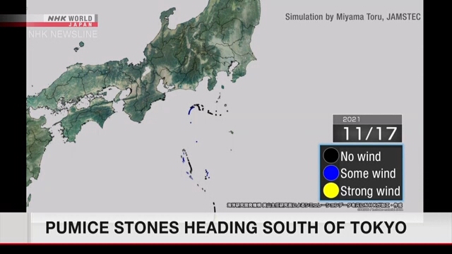 Исследователи сообщают, что дрейфующая пемза движется в сторону отдаленных островов в составе Токио