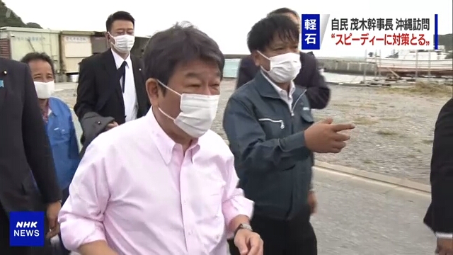 Японское правительство поддержит рыболовов, пострадавших в результате выброса на берег пемзы