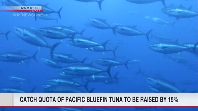 Квота добычи голубого тунца будет увеличена на 15%