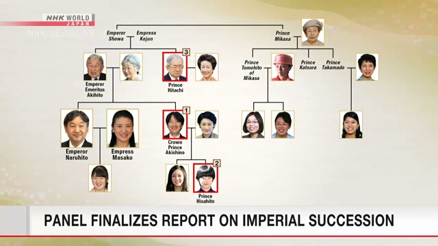 Совет экспертов представил итоговый доклад о наследовании императорского титула в Японии