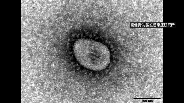 Минздрав Японии выявил 33.440 новых случаев заражения коронавирусом в четверг