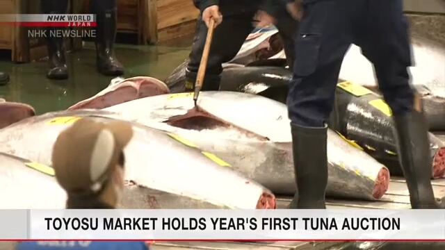 На оптовом рынке Тоёсу прошел первый в этом году аукцион тунца