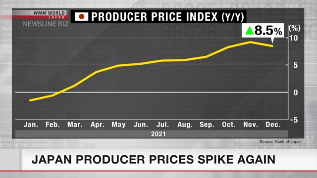 В декабре в Японии отмечен новый скачок индекса цен производителей