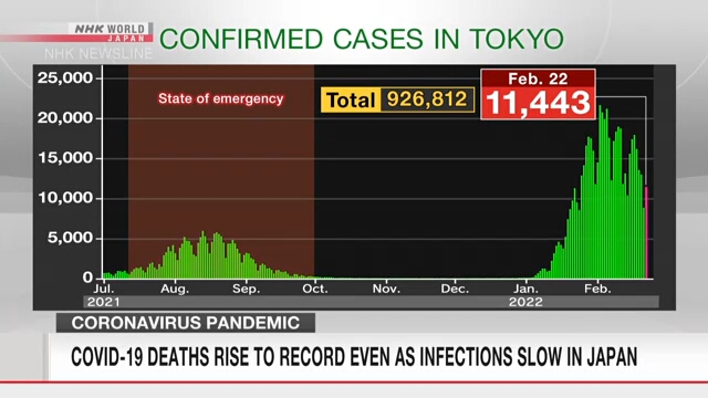 В Японии отмечено рекордное число смертей от коронавируса на фоне замедления распространения инфекции