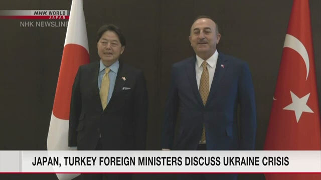 Министры иностранных дел Японии и Турции договорились сотрудничать в усилиях по урегулированию кризиса в Украине