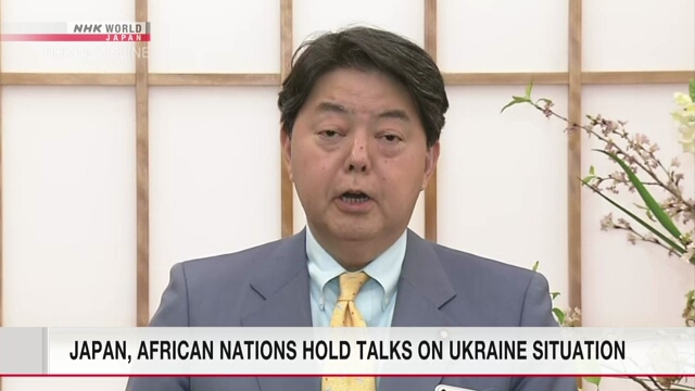 Япония и страны Африки едины в понимании необходимости международного сотрудничества для решения украинского кризиса