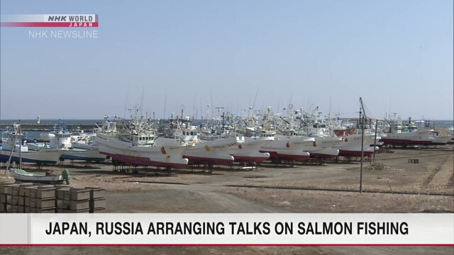 Япония и Россия могут начать переговоры о лове лососевых рыб