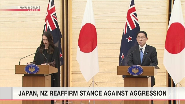 Япония и Новая Зеландия вновь подтвердили свою позицию в отношении российской агрессии
