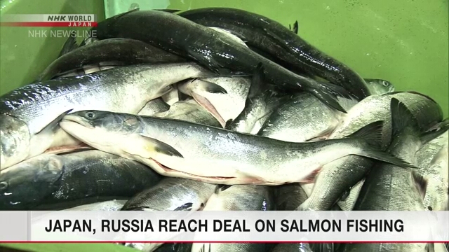 Япония и Россия достигли соглашения на ежегодных переговорах о промысле лососевых