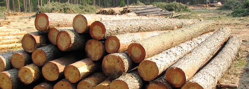 СМИ: цены на древесину растут в Японии под влиянием кризиса вокруг Украины и санкций