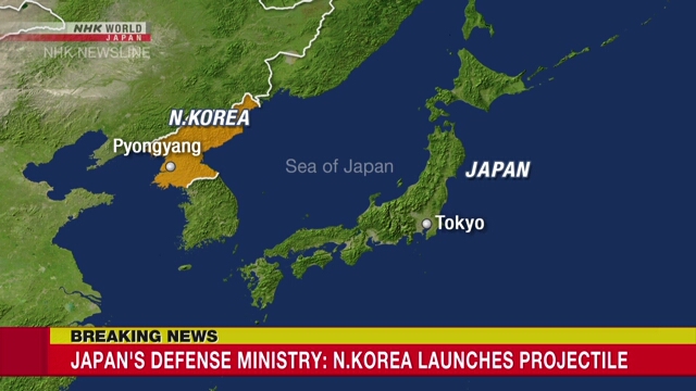 Министерство обороны Японии: Северная Корея запустила летательный объект