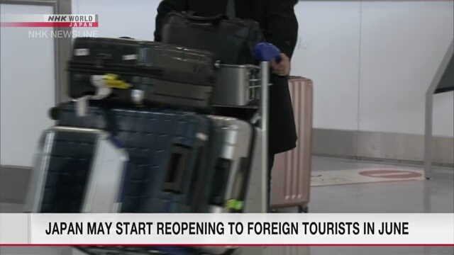Япония может начать снова принимать иностранных туристов в июне