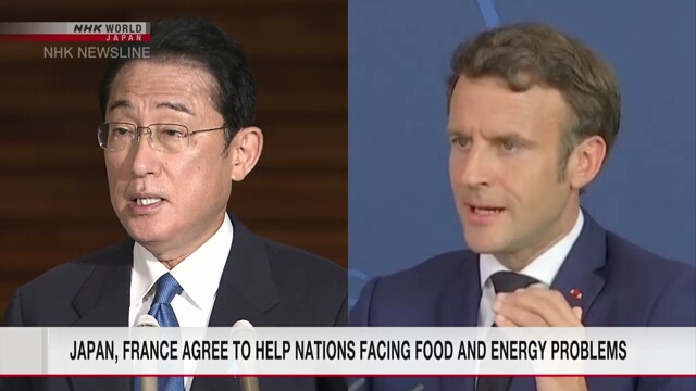 Кисида и Макрон договорились помогать странам, испытывающим продовольственные и энергетические проблемы