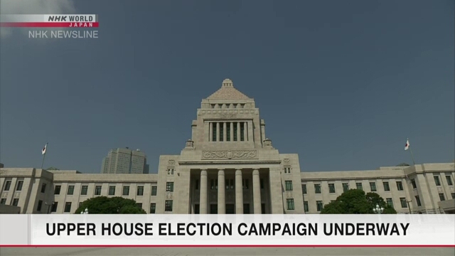 В Японии началась избирательная кампания на выборах в верхнюю палату парламента