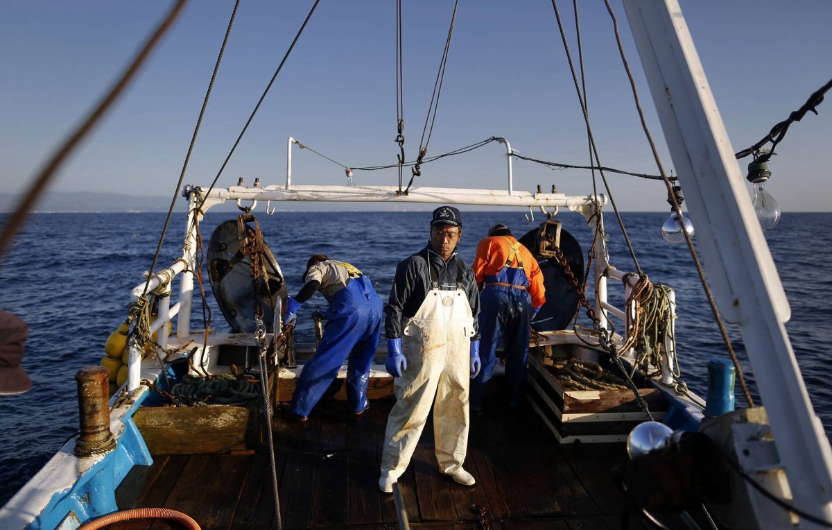 Россия лишит Японию квоты на вылов рыбы у Курильских островов за неуплату