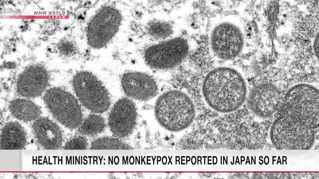 Минздрав Японии сообщил об отсутствии случаев оспы обезьян в стране на данный момент