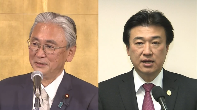 Два депутата парламента Японии в понедельник направятся на Тайвань