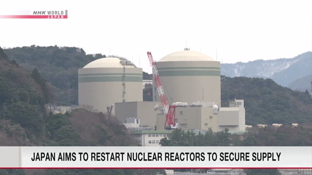 Япония намерена возобновить работу большего числа реакторов для обеспечения поставок электроэнергии