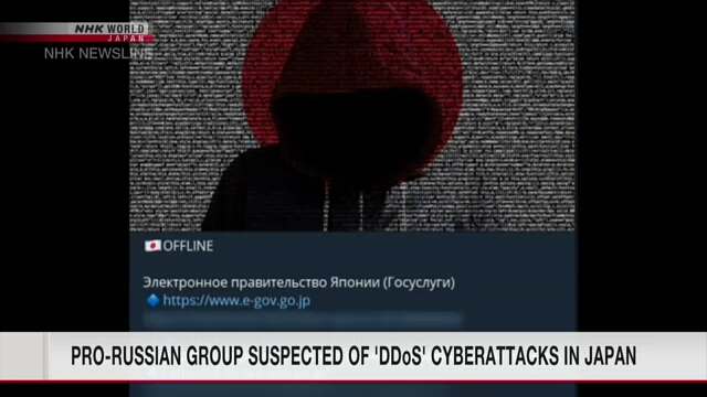 Пророссийскую группировку подозревают в кибератаке на вебсайты правительства Японии