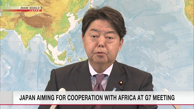 Япония стремится к сотрудничеству с африканскими странами на встрече «Большой семерки»