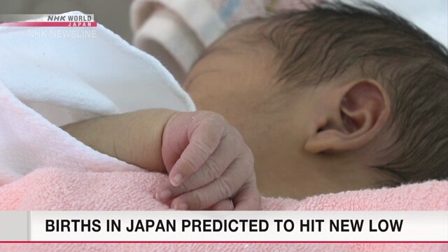 Япония прогнозирует, что в этом году в стране родится менее 800.000 человек
