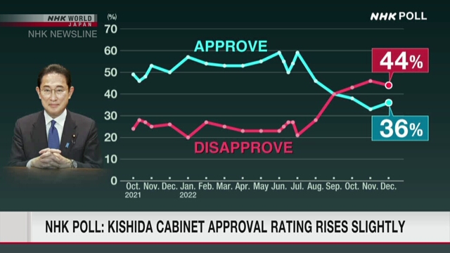 Рейтинг поддержки кабинета Кисида вырос на 3 пункта