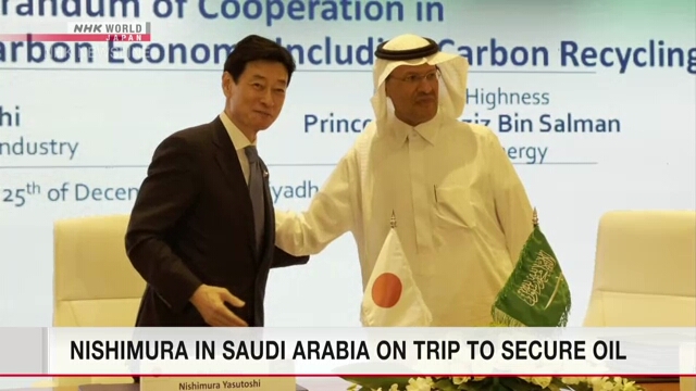 Япония обратилась к Саудовской Аравии за содействием в стабилизации цен на нефть