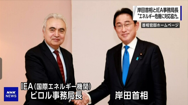 Премьер-министр Японии встретился с главой МЭА
