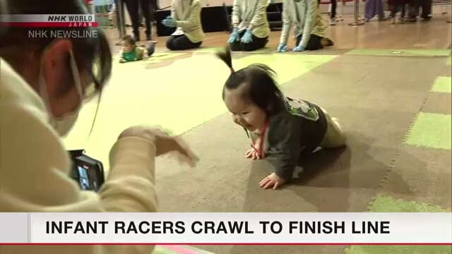 В префектуре Мияги состоялась гонка с участием малышей, которые старались ползком достичь финиша