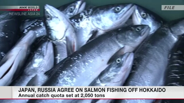 Япония и Россия пришли к договоренности о лове лососевых рыб у побережья Хоккайдо