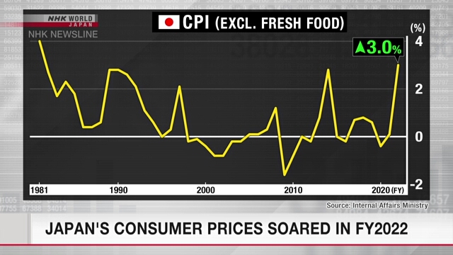 В 2022 финансовом году в Японии значительно вырос индекс потребительских цен
