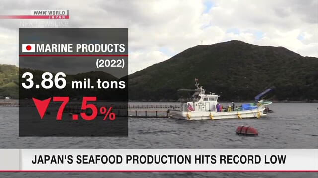 Объем производства морепродуктов в Японии опустился до рекордно низкой величины