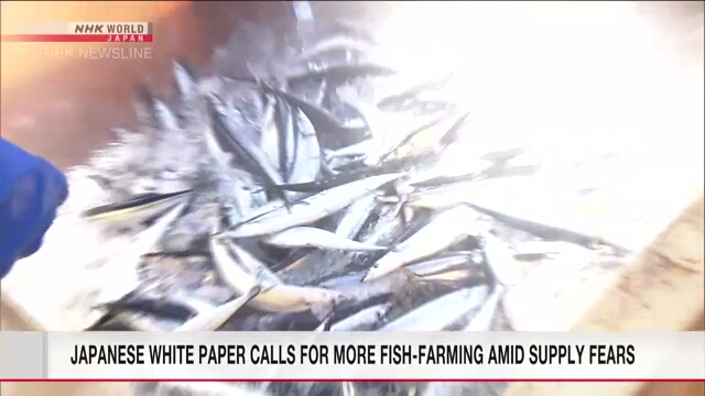 Белая книга Японии поддерживает рыбоводство на фоне опасений по поводу поставок