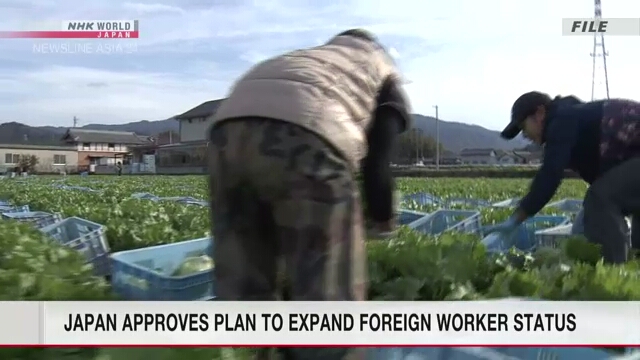 Кабинет министров Японии одобрил план по расширению статуса иностранных работников