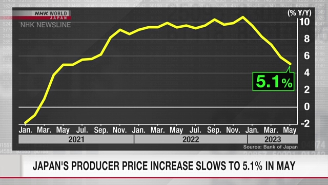Рост цен японских производителей замедлился в мае до 5,1%
