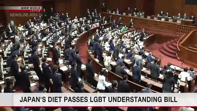 Парламент Японии принял законопроект о содействии пониманию ЛГБТ