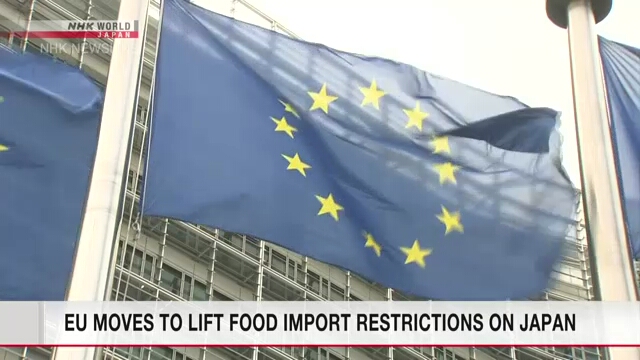 Министр иностранных дел Японии заявил, что ЕС готовится отменить ограничения на импорт японских продуктов