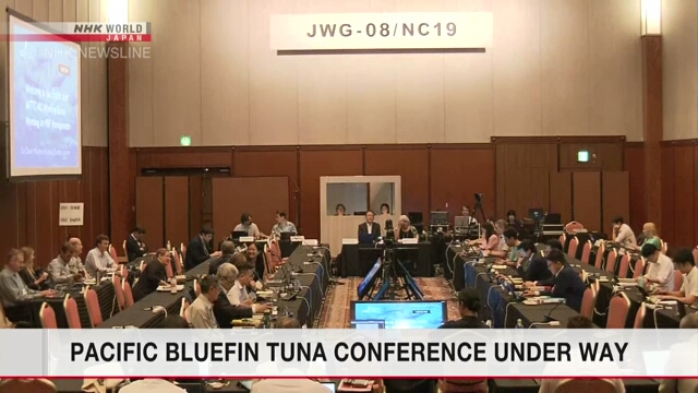 На западе Японии открылась конференция по регулированию запасов голубого тунца