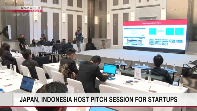 Япония и Индонезия провели конкурс стартапов