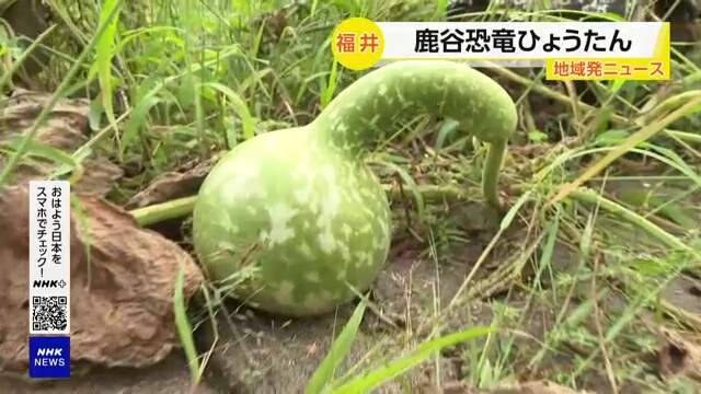 В Фукуи в центральной Японии собрали урожай тыкв в форме динозавров
