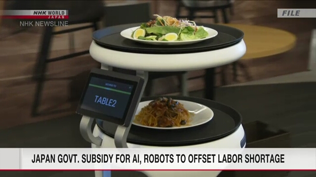 Правительство Японии будет субсидировать использование ИИ и роботов для решения проблемы нехватки рабочей силы